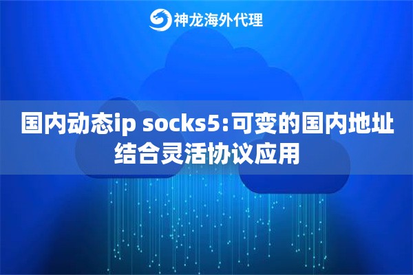 国内动态ip socks5:可变的国内地址结合灵活协议应用