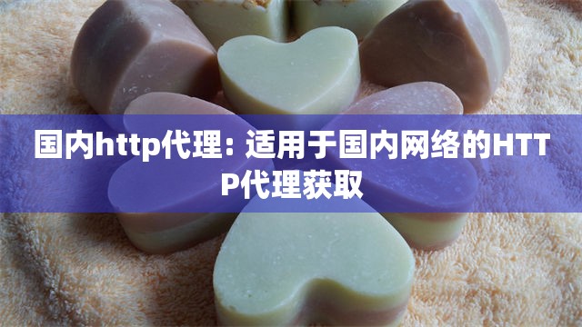 国内http代理: 适用于国内网络的HTTP代理获取