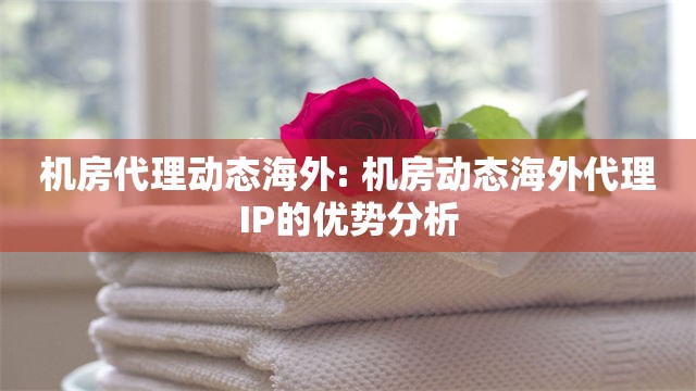 机房代理动态海外: 机房动态海外代理IP的优势分析