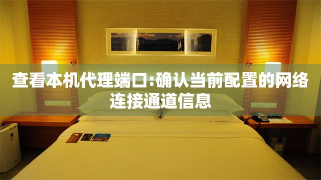 查看本机代理端口:确认当前配置的网络连接通道信息