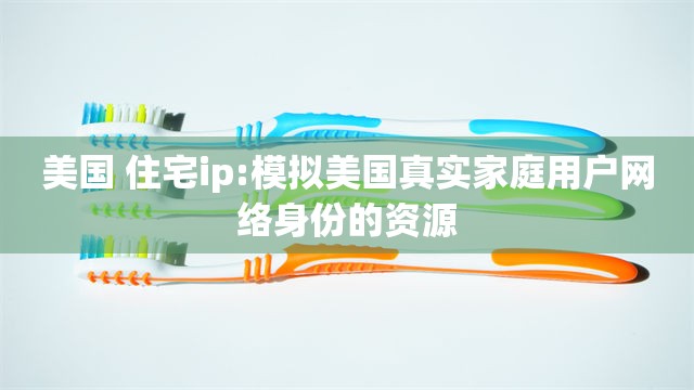 美国 住宅ip:模拟美国真实家庭用户网络身份的资源