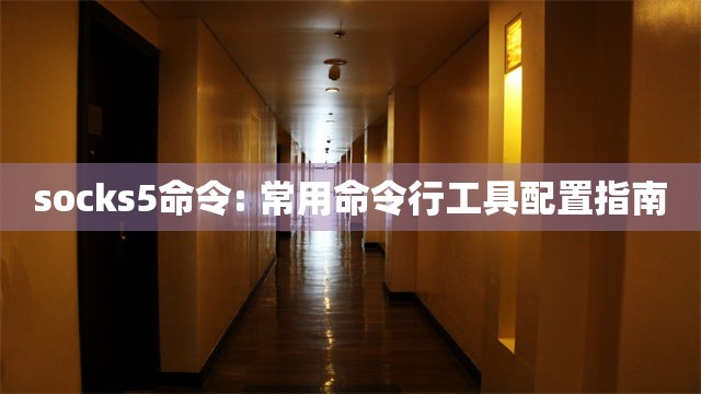 socks5命令: 常用命令行工具配置指南