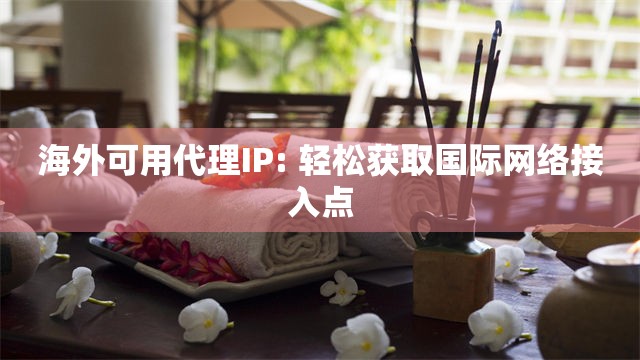 海外可用代理IP: 轻松获取国际网络接入点