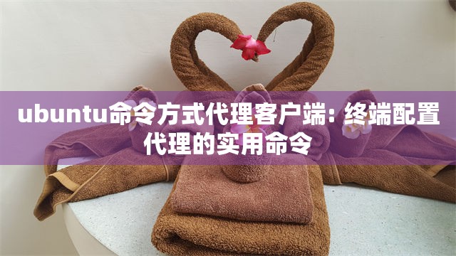 ubuntu命令方式代理客户端: 终端配置代理的实用命令