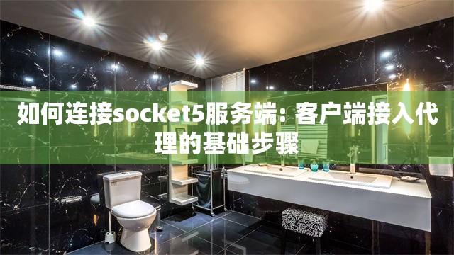 如何连接socket5服务端: 客户端接入代理的基础步骤