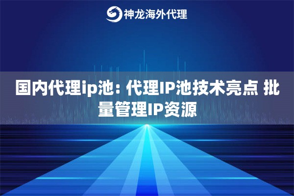 国内代理ip池: 代理IP池技术亮点 批量管理IP资源