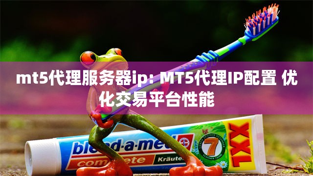 mt5代理服务器ip: MT5代理IP配置 优化交易平台性能