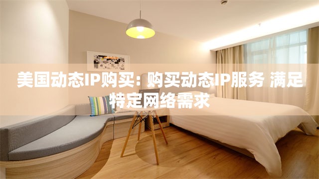 美国动态IP购买: 购买动态IP服务 满足特定网络需求