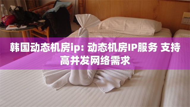 韩国动态机房ip: 动态机房IP服务 支持高并发网络需求