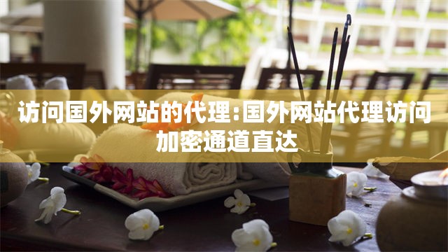 访问国外网站的代理:国外网站代理访问 加密通道直达