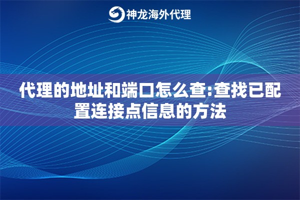 代理的地址和端口怎么查:查找已配置连接点信息的方法