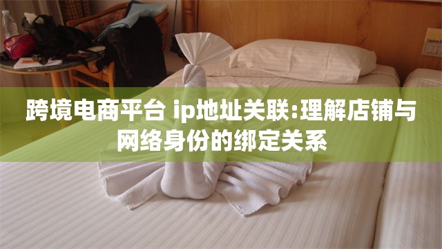 跨境电商平台 ip地址关联:理解店铺与网络身份的绑定关系