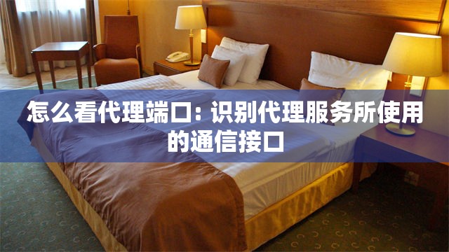 怎么看代理端口: 识别代理服务所使用的通信接口