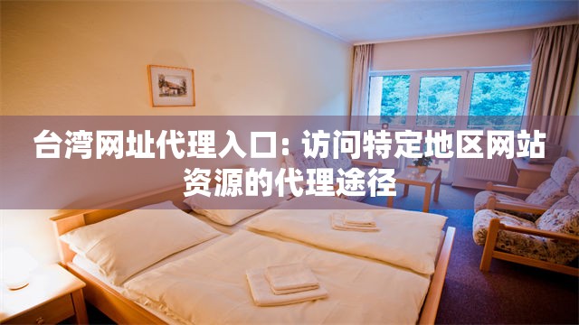 台湾网址代理入口: 访问特定地区网站资源的代理途径
