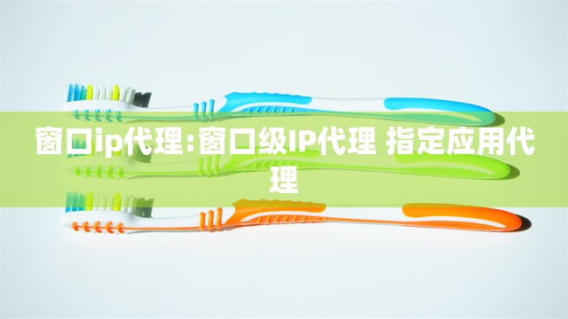 窗口ip代理:窗口级IP代理 指定应用代理