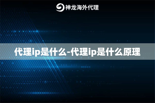 代理ip是什么-代理ip是什么原理