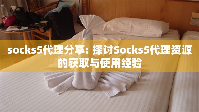 socks5代理分享: 探讨Socks5代理资源的获取与使用经验