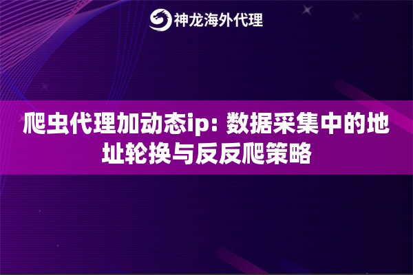 爬虫代理加动态ip: 数据采集中的地址轮换与反反爬策略