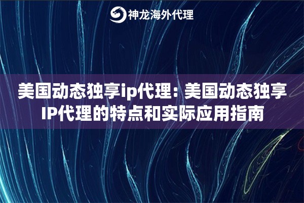 美国动态独享ip代理: 美国动态独享IP代理的特点和实际应用指南