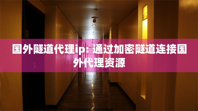 国外隧道代理ip: 通过加密隧道连接国外代理资源