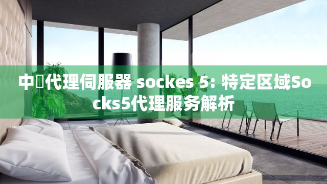 中國代理伺服器 sockes 5: 特定区域Socks5代理服务解析