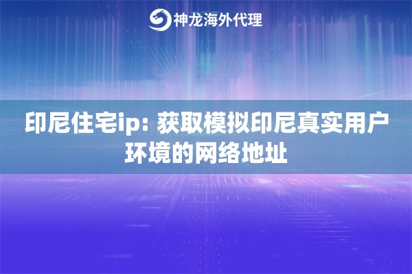 印尼住宅ip: 获取模拟印尼真实用户环境的网络地址