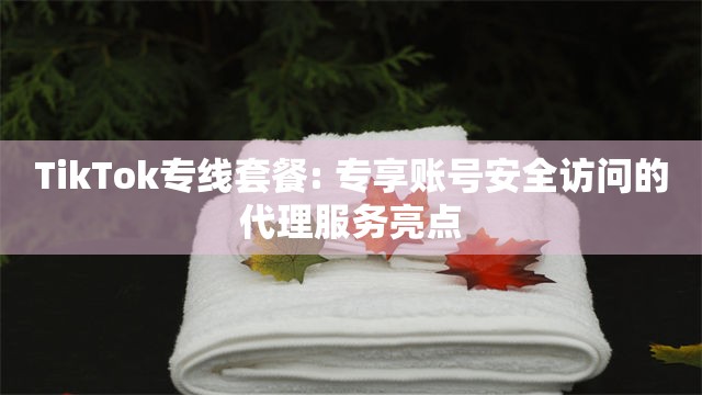 TikTok专线套餐: 专享账号安全访问的代理服务亮点
