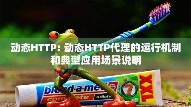 动态HTTP: 动态HTTP代理的运行机制和典型应用场景说明