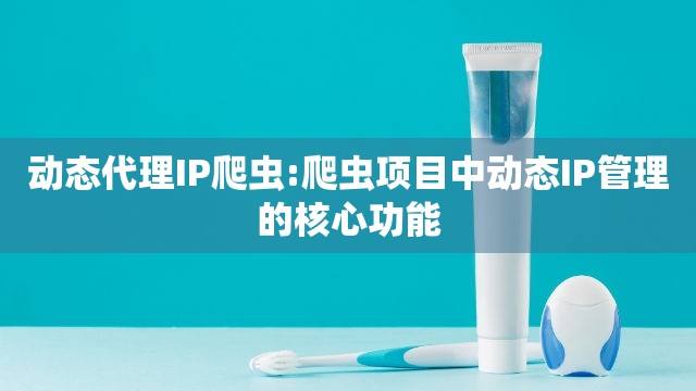动态代理IP爬虫:爬虫项目中动态IP管理的核心功能