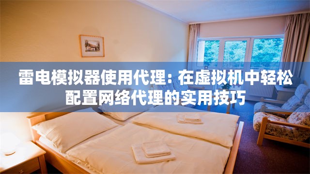 雷电模拟器使用代理: 在虚拟机中轻松配置网络代理的实用技巧