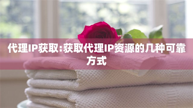 代理IP获取:获取代理IP资源的几种可靠方式