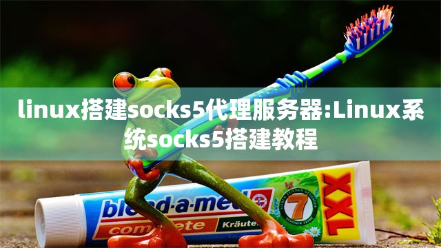linux搭建socks5代理服务器:Linux系统socks5搭建教程