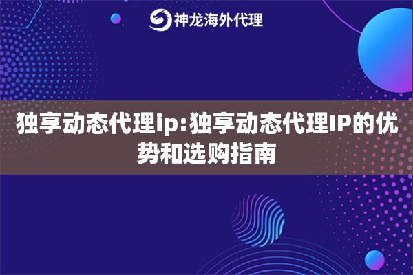 独享动态代理ip:独享动态代理IP的优势和选购指南