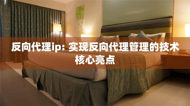反向代理ip: 实现反向代理管理的技术核心亮点