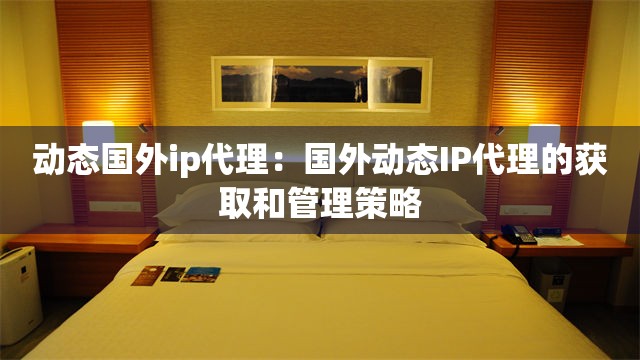 动态国外ip代理：国外动态IP代理的获取和管理策略