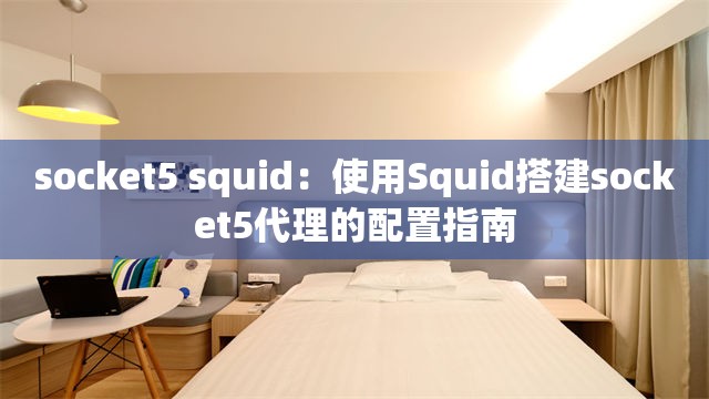socket5 squid：使用Squid搭建socket5代理的配置指南