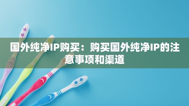 国外纯净IP购买：购买国外纯净IP的注意事项和渠道
