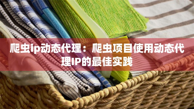爬虫ip动态代理：爬虫项目使用动态代理IP的最佳实践