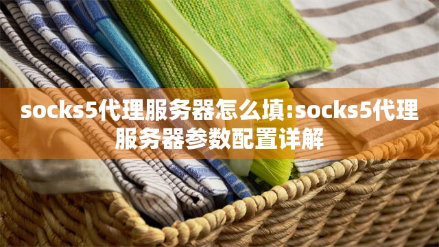 socks5代理服务器怎么填:socks5代理服务器参数配置详解