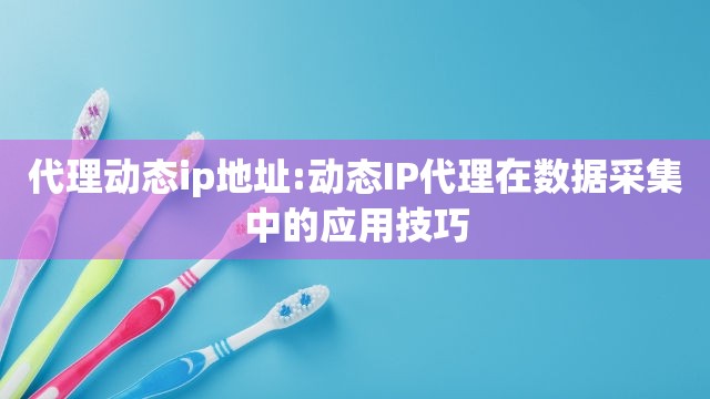 代理动态ip地址:动态IP代理在数据采集中的应用技巧