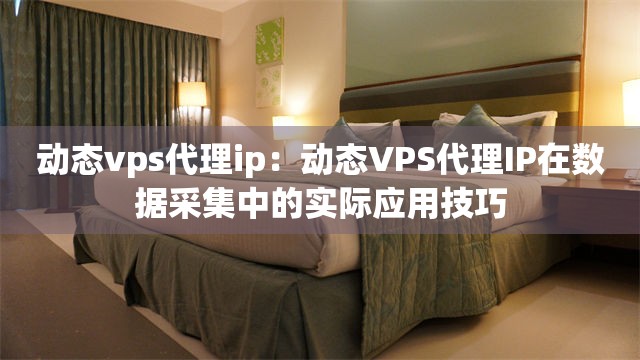 动态vps代理ip：动态VPS代理IP在数据采集中的实际应用技巧