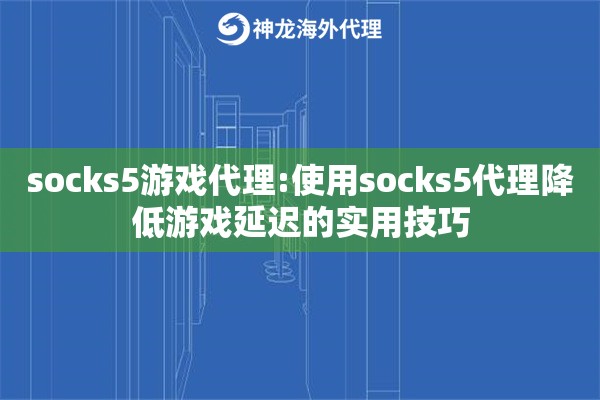socks5游戏代理:使用socks5代理降低游戏延迟的实用技巧