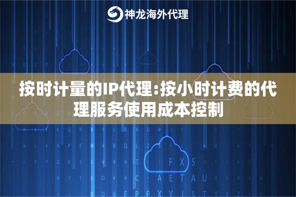 按时计量的IP代理:按小时计费的代理服务使用成本控制