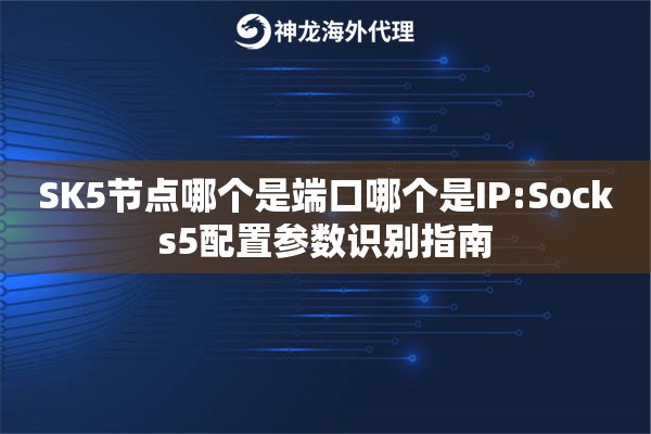 SK5节点哪个是端口哪个是IP:Socks5配置参数识别指南