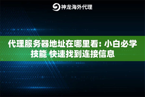 代理服务器地址在哪里看: 小白必学技能 快速找到连接信息