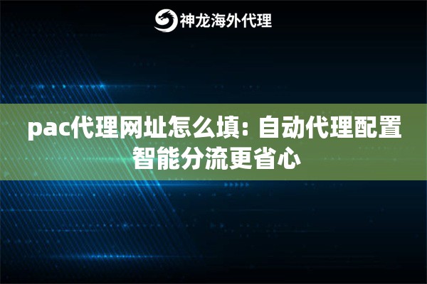 pac代理网址怎么填: 自动代理配置 智能分流更省心