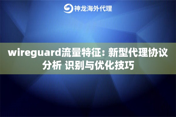 wireguard流量特征: 新型代理协议分析 识别与优化技巧