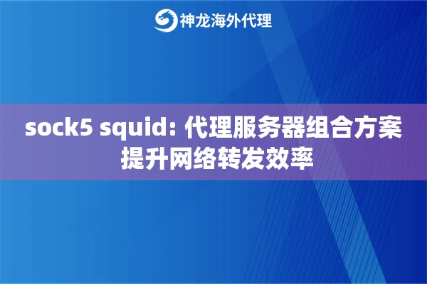 sock5 squid: 代理服务器组合方案 提升网络转发效率
