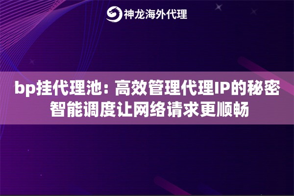 bp挂代理池: 高效管理代理IP的秘密 智能调度让网络请求更顺畅
