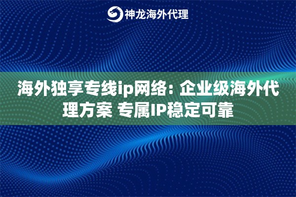 海外独享专线ip网络: 企业级海外代理方案 专属IP稳定可靠